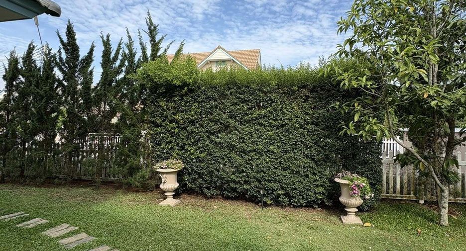 For rent 3 bedrooms house in San Sai, Chiang Mai