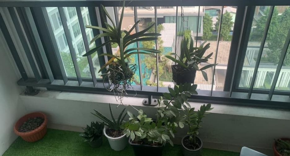 For rent 1 bed condo in Thon Buri, Bangkok