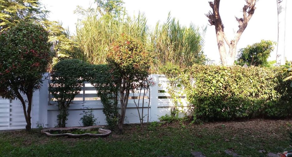 For sale 3 bedrooms house in San Sai, Chiang Mai