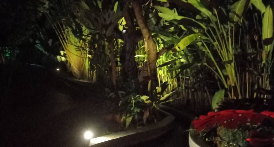 For sale and for rent 3 bedrooms house in San Sai, Chiang Mai