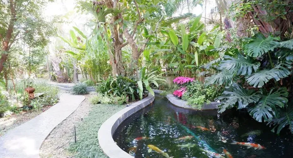 For sale and for rent 3 bedrooms house in San Sai, Chiang Mai