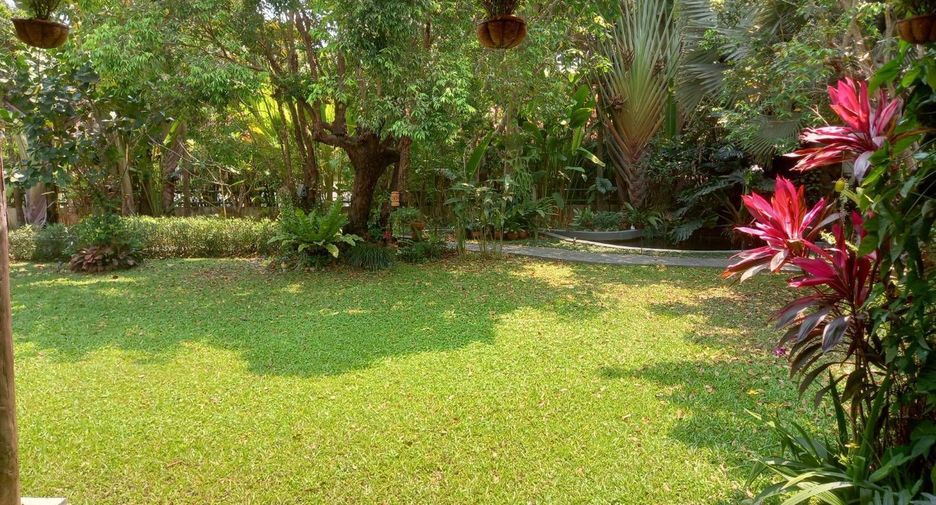 For sale and for rent 3 bedrooms house in San Sai, Chiang Mai