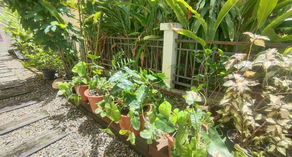 For sale 4 bedrooms house in Doi Saket, Chiang Mai