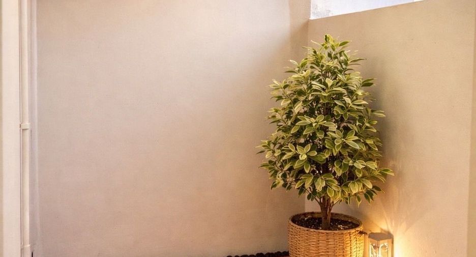 À vendre 1 chambre condo à Mueang Chiang Mai, Chiang Mai