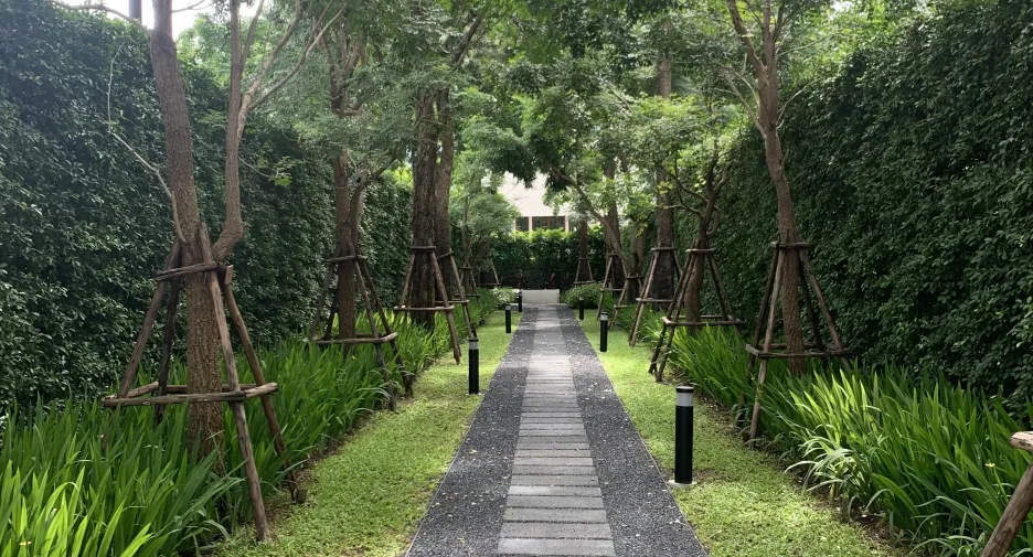 出售 和 出租 3 卧室 公寓 在 沙吞, 曼谷