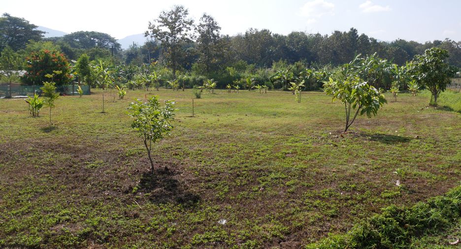 For sale 3 bedrooms house in Mae On, Chiang Mai