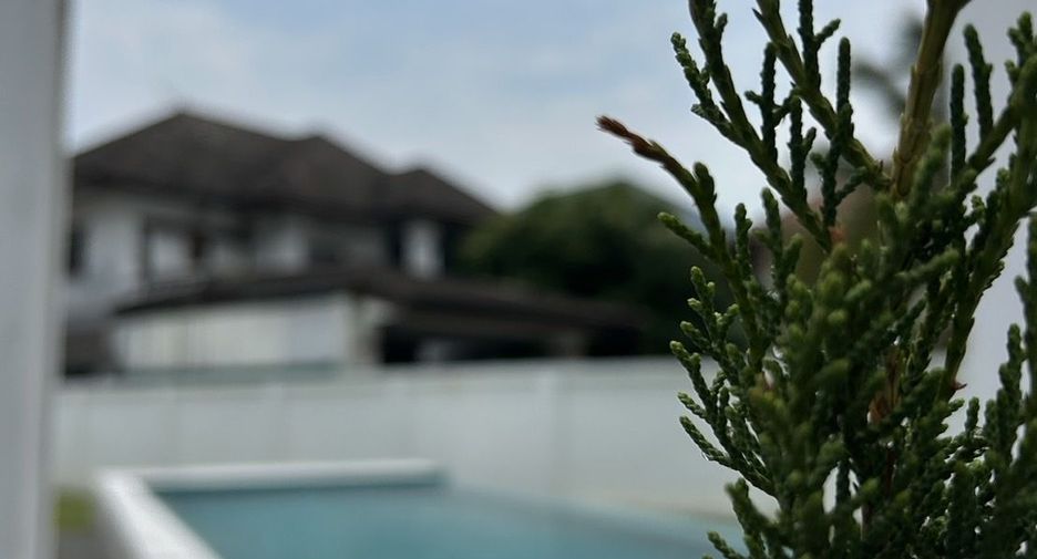 Villa en venta y en alquiler de 4 habitaciones en Mueang Chiang Mai, Chiang Mai