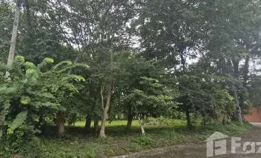 For sale land in Doi Saket, Chiang Mai