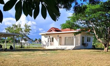 Haus zum Kauf und zur Miete mit 2 Zimmer in Doi Saket, Chiang Mai