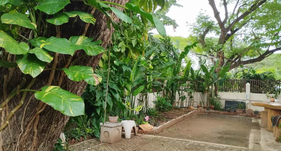 For rent 3 bedrooms house in Mueang Chiang Mai, Chiang Mai