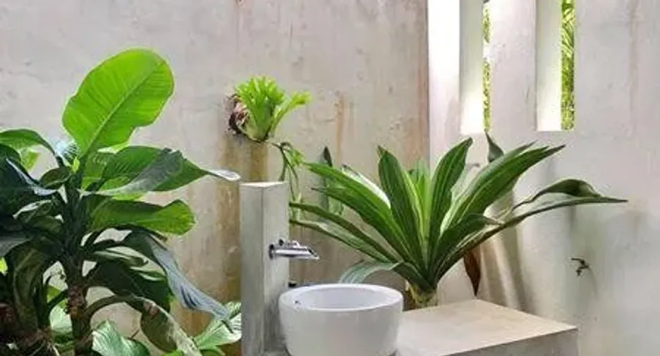 For sale and for rent 3 bedrooms house in Mae Rim, Chiang Mai