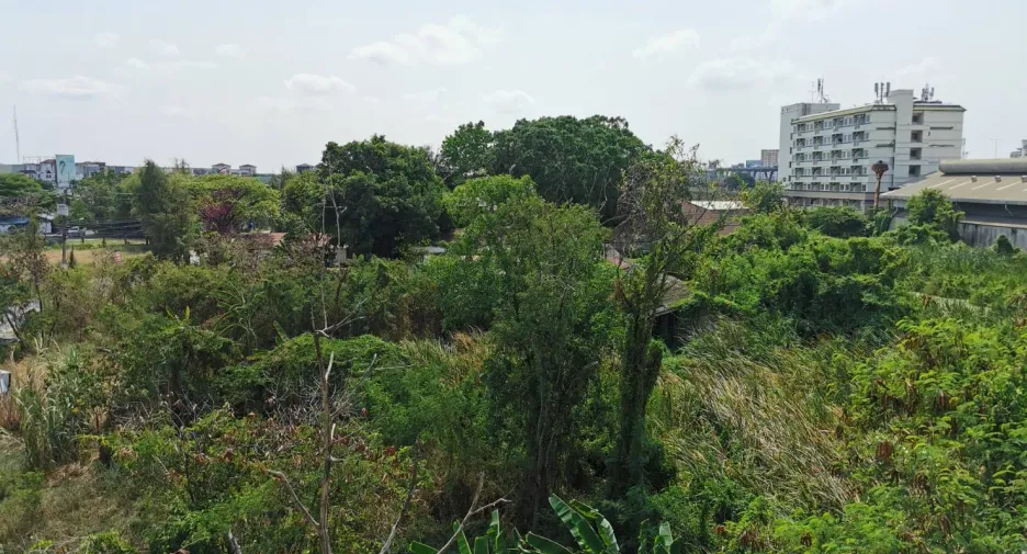 Condo en venta de 1 habitaciones en Bang Sao Thong, Samut Prakan