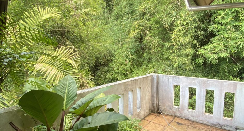 For sale 3 bedrooms house in Mae Rim, Chiang Mai