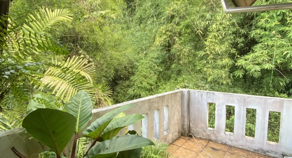 For sale 3 bedrooms house in Mae Rim, Chiang Mai