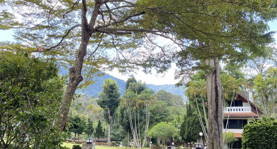 For sale 3 bedrooms house in Mae Rim, Chiang Mai