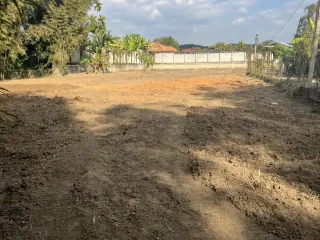 出售 土地 在 Mae Rim, Chiang Mai