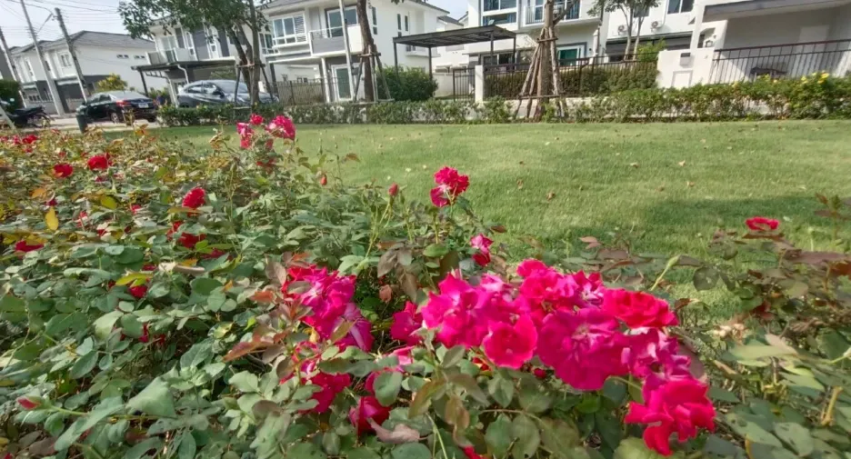 For rent 4 bedrooms house in Mae Rim, Chiang Mai