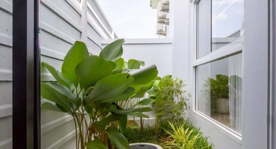 For rent 3 bedrooms townhouse in San Sai, Chiang Mai