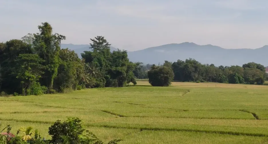 For sale 5 bedrooms house in San Sai, Chiang Mai