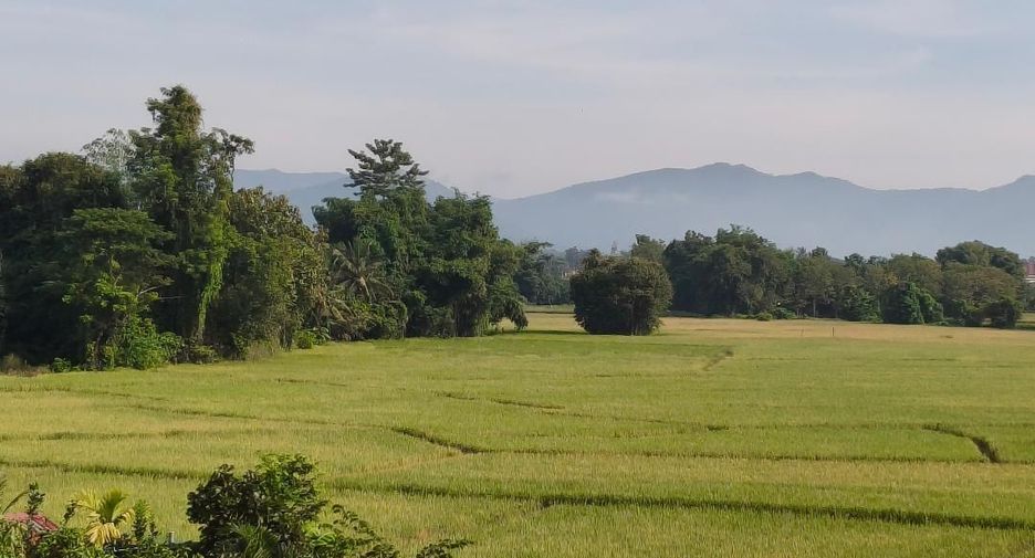 Haus zum Kauf mit 5 Zimmer in San Sai, Chiang Mai