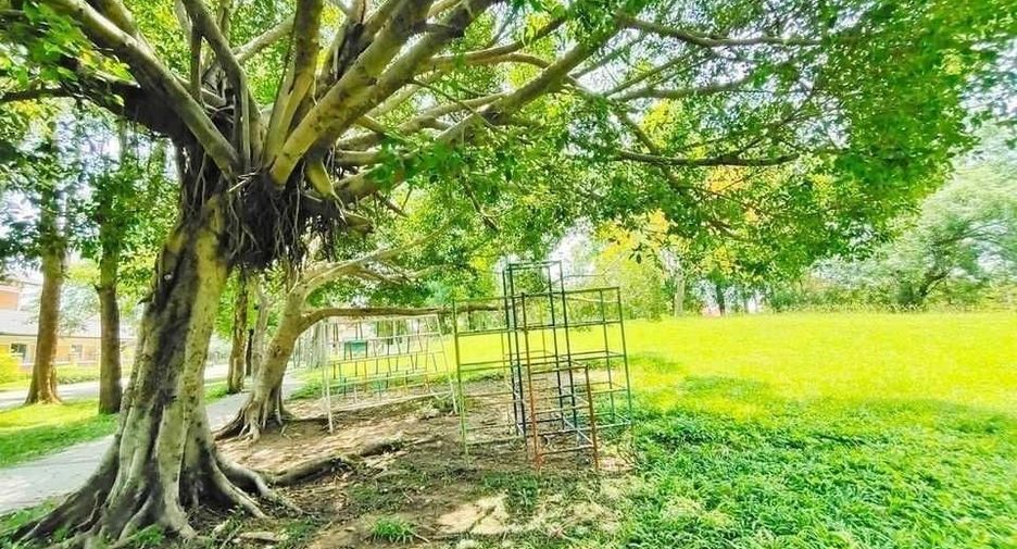 For rent 3 bedrooms house in Mueang Chiang Mai, Chiang Mai