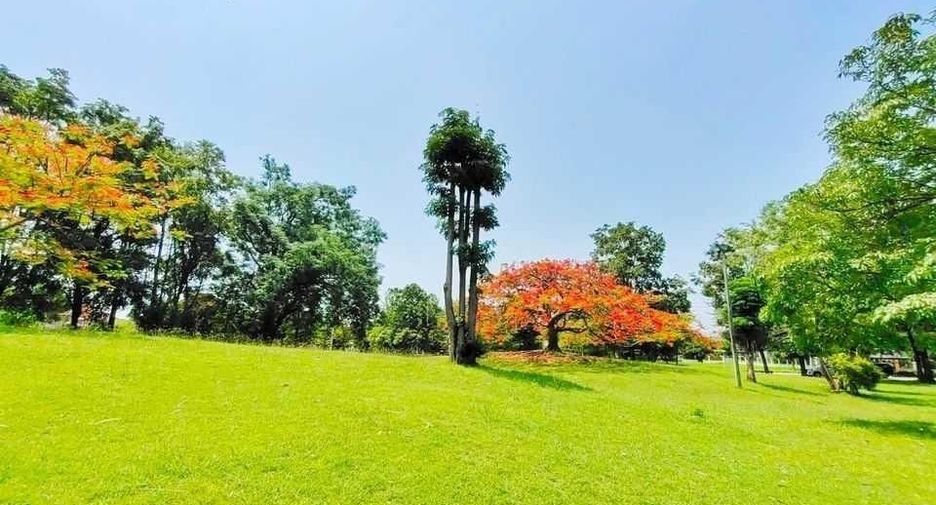 For rent 3 bedrooms house in Mueang Chiang Mai, Chiang Mai