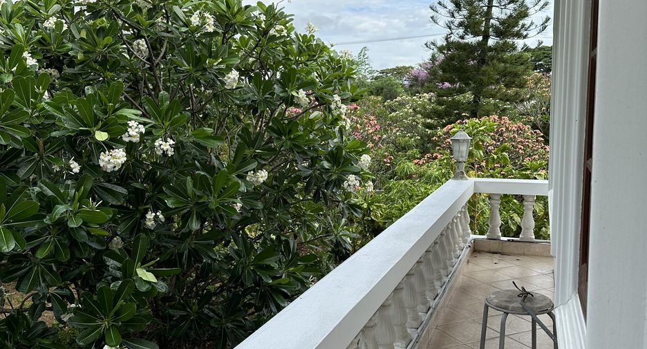 For sale and for rent 6 bedrooms house in San Sai, Chiang Mai