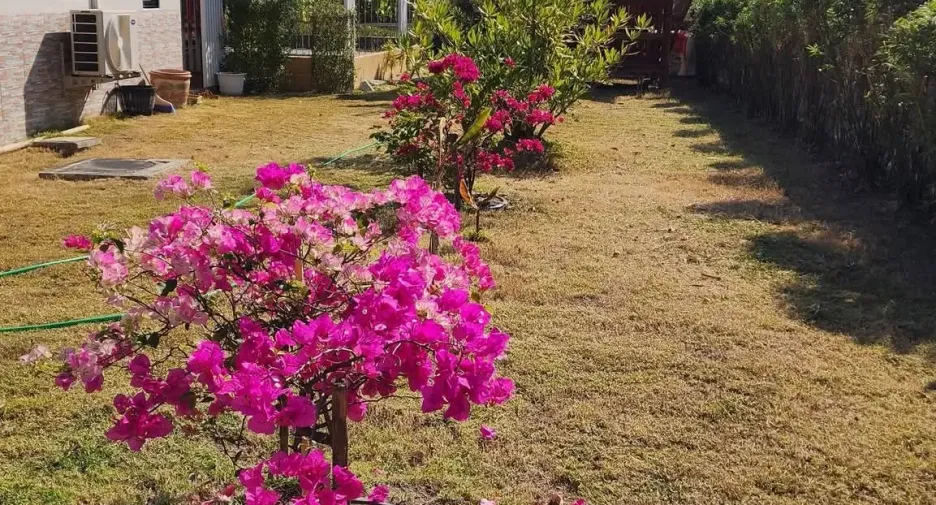For rent 3 bedrooms house in Saraphi, Chiang Mai