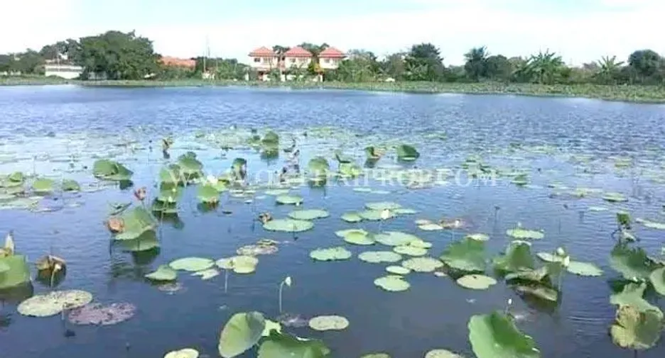 For sale 3 bedrooms house in Lat Krabang, Bangkok