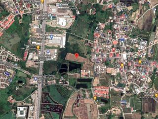For sale land in San Sai, Chiang Mai