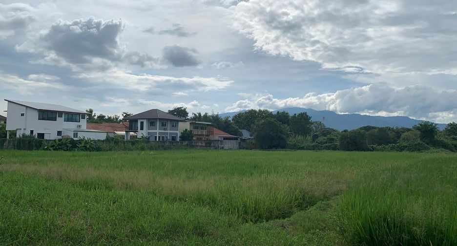 Grundstück zum Kauf in San Sai, Chiang Mai