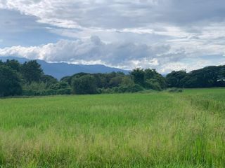 Grundstück zum Kauf in San Sai, Chiang Mai