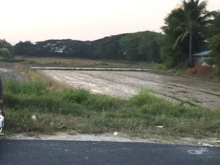 For sale land in San Sai, Chiang Mai