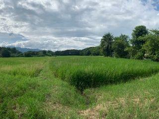 For sale land in San Sai, Chiang Mai