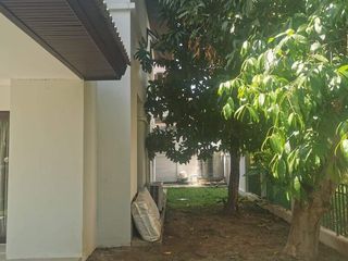 À vendre et à louer 4 chambres maison à Mae Rim, Chiang Mai