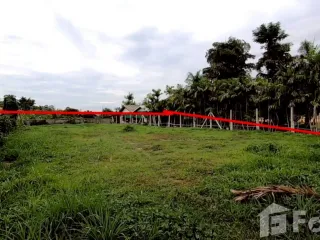 For sale land in San Sai, Chiang Mai