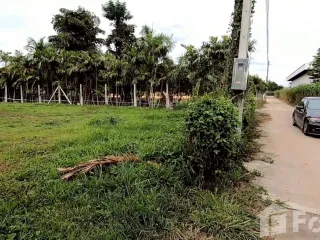 For sale land in San Sai, Chiang Mai