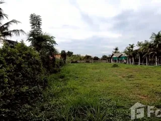 For sale land in San Sai, Chiang Mai