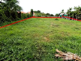 For sale land in San Sai, Chiang Mai