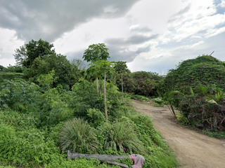 出售 土地 在 Hang Dong, Chiang Mai
