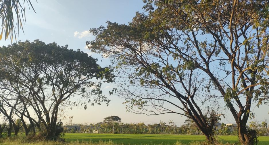For sale 3 bedrooms house in Mae Rim, Chiang Mai