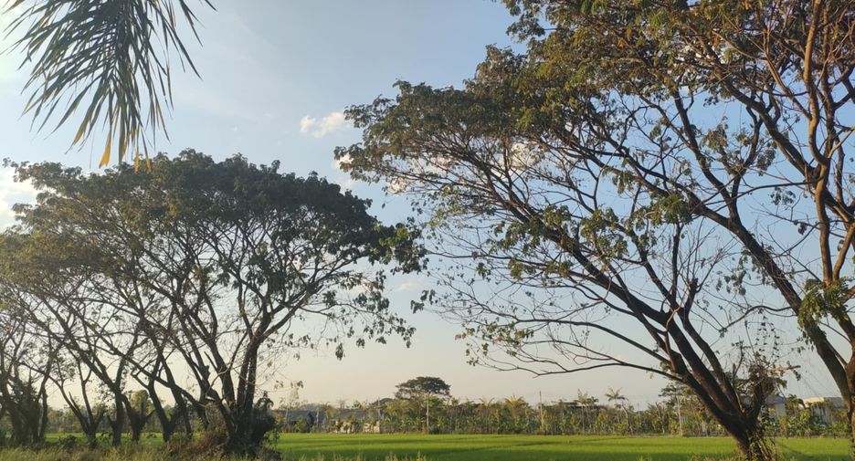 For sale 3 bedrooms house in Mae Rim, Chiang Mai