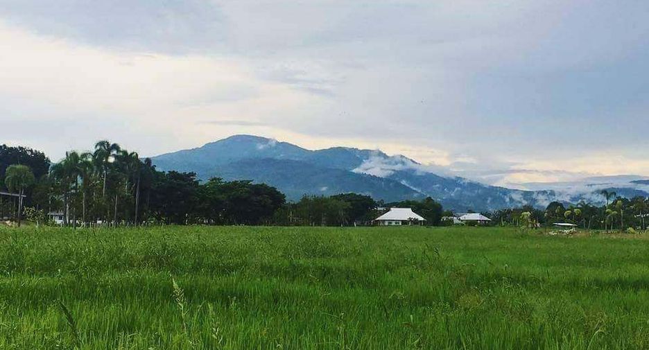 For sale 3 bedrooms house in Mae Rim, Chiang Mai