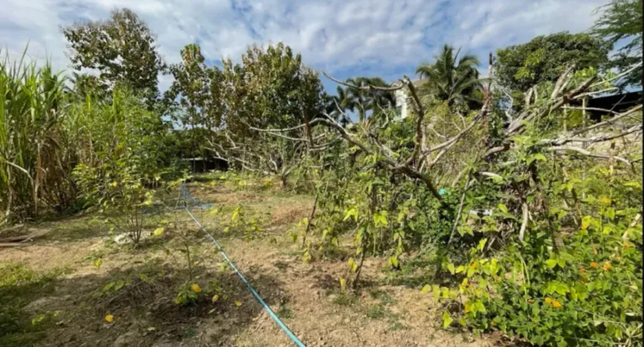 For sale land in Hang Dong, Chiang Mai