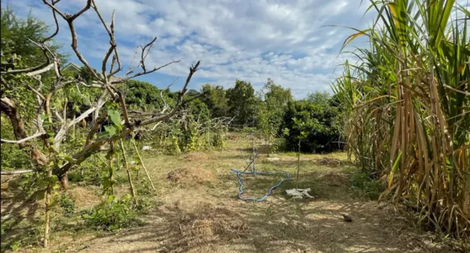 For sale land in Hang Dong, Chiang Mai