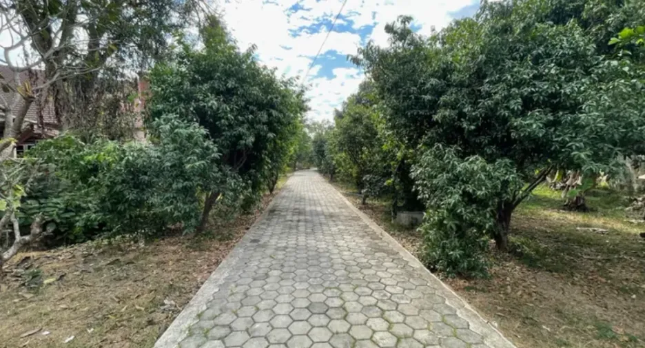 For sale land in Hang Dong, Chiang Mai