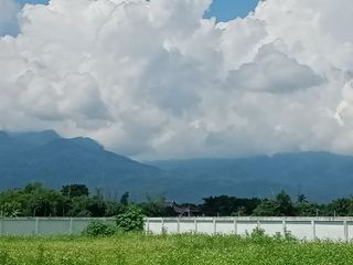 Terreno en venta en Mae Rim, Chiang Mai