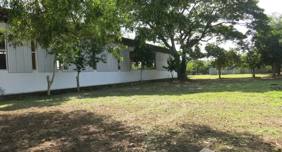 Haus zum Kauf und zur Miete mit Studio in San Pa Tong, Chiang Mai