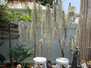 For rent 2 ベッドルーム house in Sam Roi Yot, Prachuap Khiri Khan