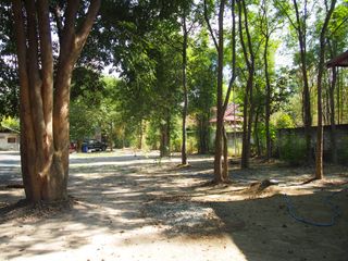 For sale 3 ベッドルーム house in San Pa Tong, Chiang Mai